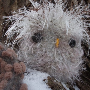 Pu&ograve; includere: Un gufo bianco e soffice con un becco giallo e occhi neri. Il gufo &egrave; seduto su un tronco d'albero con la neve sullo sfondo.