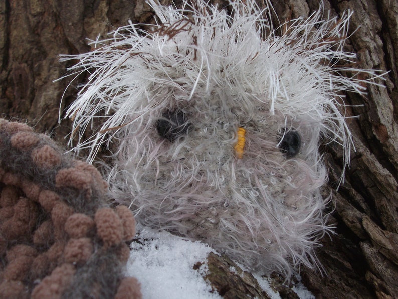 Pu&ograve; includere: Un gufo bianco e soffice con un becco giallo e occhi neri. Il gufo &egrave; seduto su un tronco d'albero con la neve sullo sfondo.