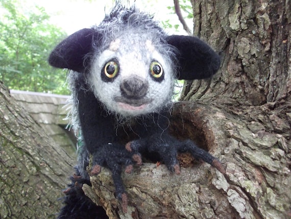 Aye Aye