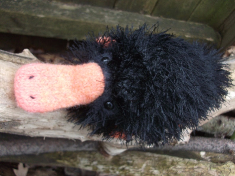 echidna stuffed animal
