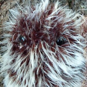 May include: A brown and white fluffy creature with large black eyes. The creature is sitting on a rough, brown surface.