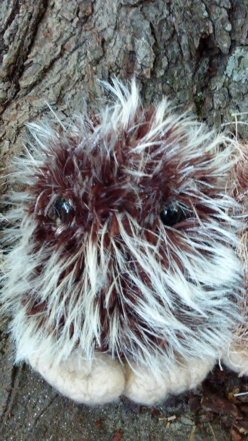 May include: A brown and white fluffy creature with large black eyes. The creature is sitting on a rough, brown surface.