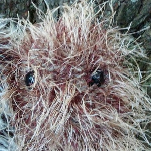 May include: Close-up of a fluffy, brown and white stuffed animal with black button eyes. The animal is lying on a rough, textured surface.