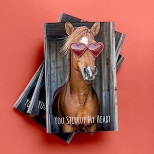 Lustige Pferdekarte Jahrestag Sie steigen mein Herz Karte Herz Brille Reiter Geschenk Niedliche Tier Karte für Pferdeliebhaber Valentinstag Jahrestag