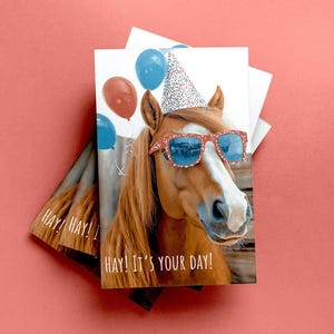 Tarjeta de cumpleaños divertida con un caballo: "Hola, es tu día" Sombrero de cumpleaños Gafas Regalo ecuestre Tarjeta con un animal lindo Cumpleaños para amantes de los caballos Cumpleaños único para caballos
