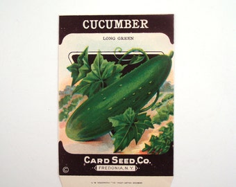 Vintage 1920s Unused Paper Seed Packet Cucumber CONTAINS NO SEEDS please read item details