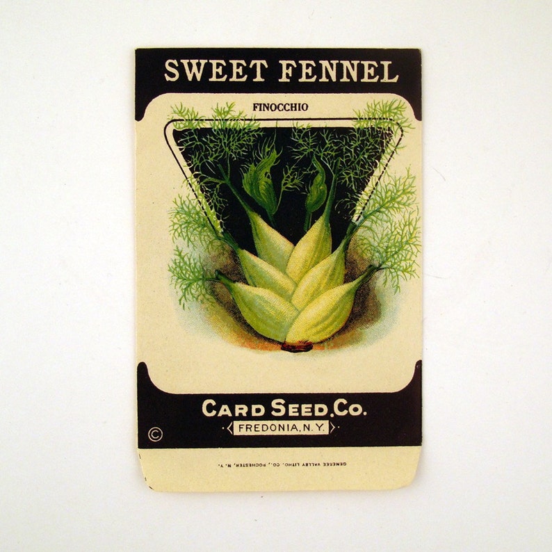Vintage 1920s Unused Paper Seed Packet Sweet Fennel CONTAINS NO SEEDS please read item details image 1