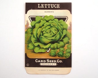 Vintage 1920s Unused Paper Seed Packet Lettuce CONTAINS NO SEEDS please read item details