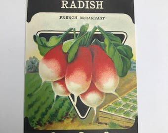 Vintage 1920s Unused Paper Seed Packet Radish CONTAINS NO SEEDS please read item details