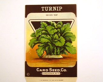 Vintage 1920s Unused Paper Seed Packet Turnip CONTAINS NO SEEDS please read item details