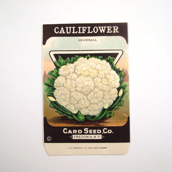Vintage Broccoli Seed Packet