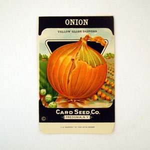 Paper Seed Packet Vintage 1920s Unused Paper Seed Packet Onion CONTAINS NO SEEDS please read item details image 1