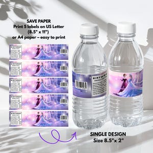 Pu&ograve; includere: Due bottiglie d'acqua in plastica trasparente con tappi bianchi ed etichette. Le etichette presentano un tema principessa con il testo "Birthday Energy Facts". L'immagine mostra anche un foglio di etichette di 21.6cm x 27.9cm.