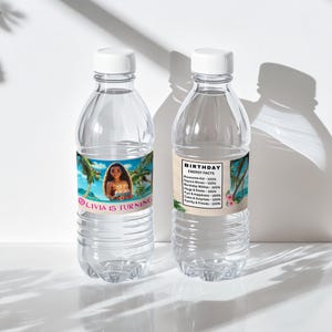 Water bottle labels wrapped around plastic bottles with beach background and birthday text details.