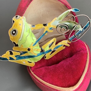 May include: A green and yellow enamel frog brooch with black spots, perched on a blue twig with a green leaf, in a red velvet box.
