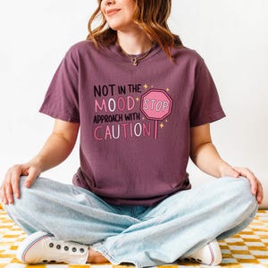 For Short Tempered Friend or Daughter No Patience Introvert and Mental Health Awareness Gift Idea Chronic Illness TShirt Funny Comfort Tee