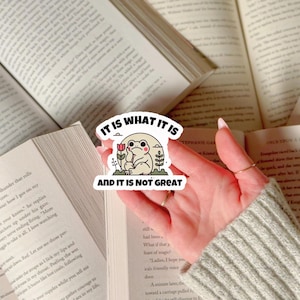 Dark Humor Everythings Fine Sticker It is What it is Frog Laptop Decal Funny Burnout Decal Sarcastic Overthinker Gift Idea for Anxious Wife