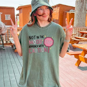 TShirt Funny Comfort Tee for Short Tempered Friend or Daughter No Patience Introvert and Mental Health Awareness Gift Idea Chronic Illness