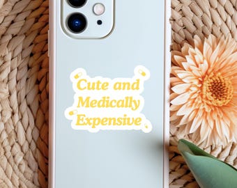 Endometriosis Decal Funny Chronic Illness Laptop Sticker Quirky Hidden Disability Gift Idea for Spoonie Waterproof Vinyl Humorous Endo Gift