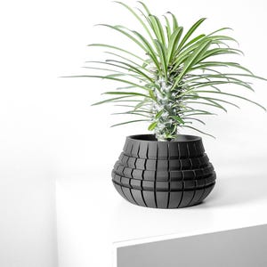 May include: A black planter with a geometric design holds a green succulent plant with long, thin leaves.