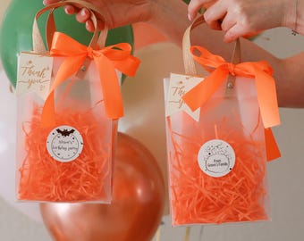Halloween birthday treat bags, Halloween birthday party, Halloween Goodie Bags, Halloween Personalized Gift Bags, Halloween favors