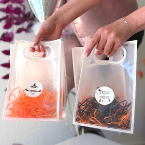 Peut inclure: Deux sacs cadeaux transparents avec des poign&eacute;es blanches sont tenus. L'un est rempli de papier d&eacute;chiquet&eacute; orange et d'un autocollant &laquo; Halloween is a riot of fun &raquo;. L'autre a des d&eacute;chiquet&eacute;s noirs et oranges et un autocollant &laquo; Trick or Treat &raquo;.