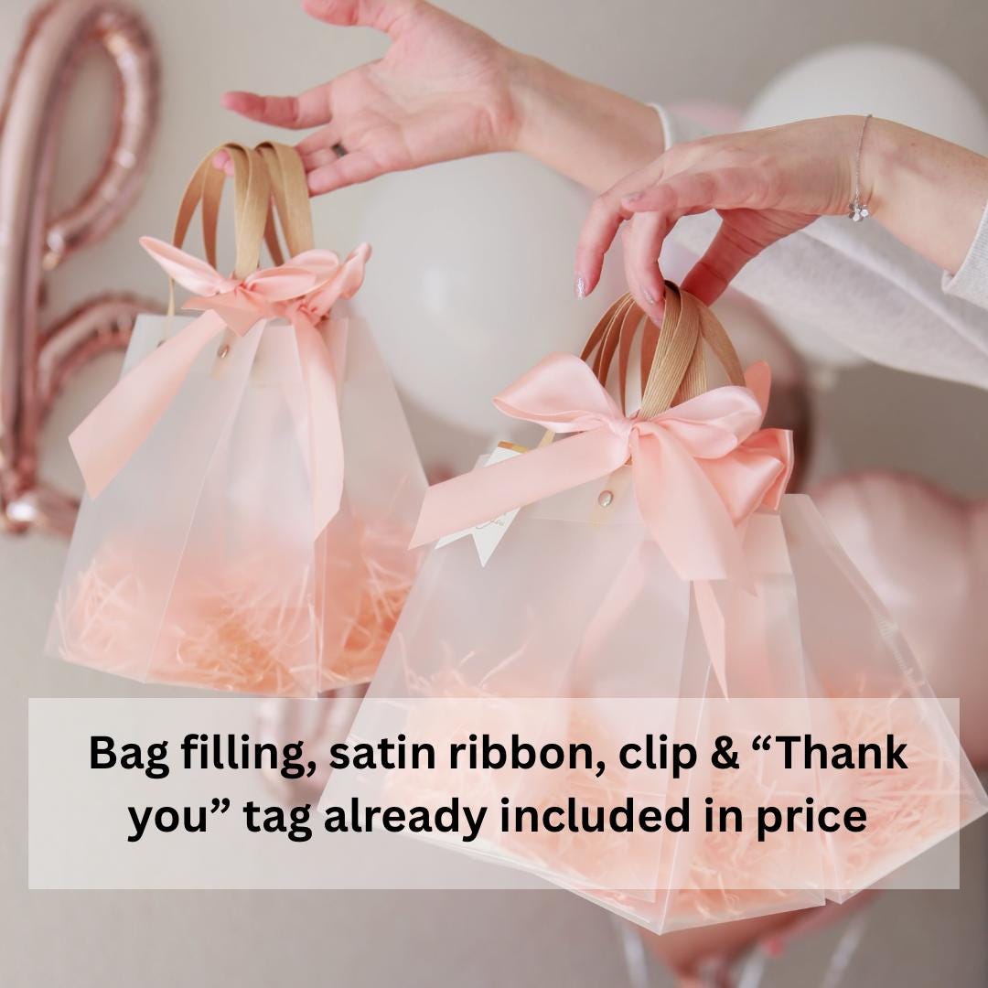 Personalized gift bags for guests, blush pink custom Baby shower gift bag, baby shower favors, 1st birthday favors