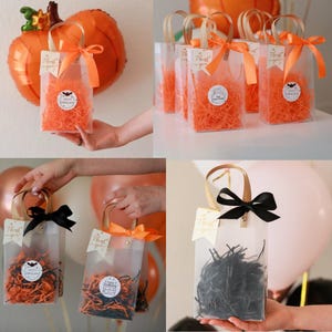 Halloween Party Favor Bags with Ribbon, Trick or Treat Gift Bags, bags with satin bow, orange gift bags