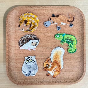 Pode incluir: Uma coleção de patches bordados de animais, incluindo um tatu, um ornitorrinco, um ouriço, um camaleão, uma coruja e um esquilo. Os patches apresentam costuras detalhadas e cores vibrantes, exibidos numa bandeja de madeira. Ideais para adicionar a roupas ou acessórios.