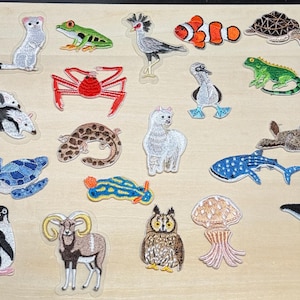 Könnte beinhalten: Eine Sammlung gestickter Tieraufnäher, darunter ein Frosch, ein Clownfisch, eine Schildkröte, ein Pinguin und eine Eule. Die Aufnäher sind in verschiedenen Farben und Designs auf einer hellen Holzoberfläche angeordnet.