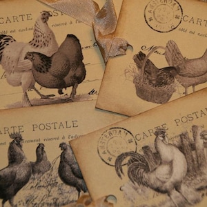Roosters and Chickens Vintage Postcards  Tags