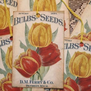 May include: Vintage seed packet with a yellow and red tulip illustration. The packet is labeled "Autumn Bulbs & Seeds 1894." and "D.M. Ferry & Co. Detroit, Mich."