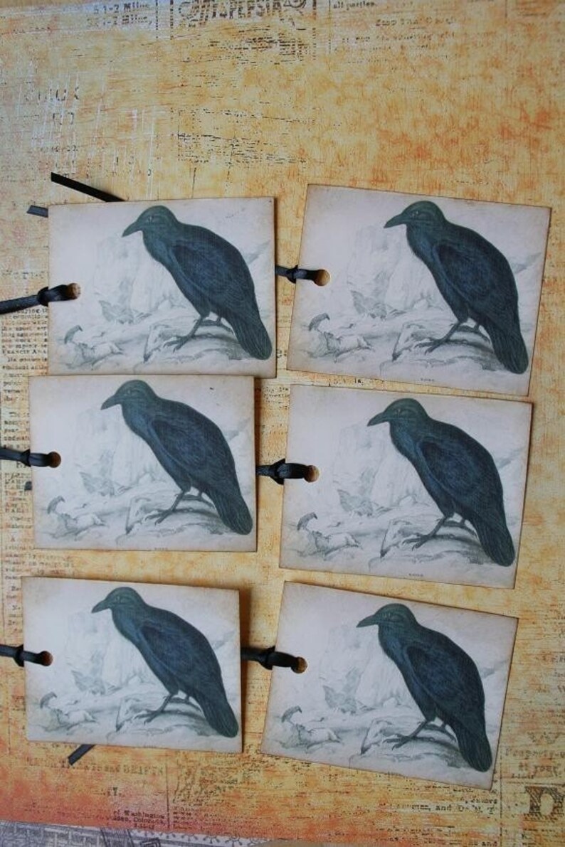 Black Crow Raven Tags