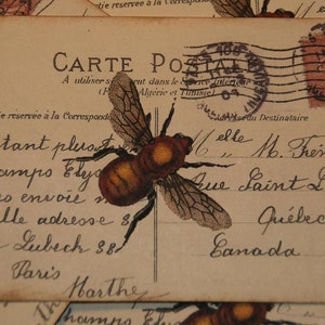 BEE Altered Art Carte Postal Tags or Postcards
