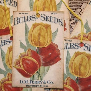 May include: Vintage style seed packet tags with illustrations of yellow and red tulips. The tags are printed with the text "Autumn Bulbs & Seeds" and "D.M. Ferry & Co. Detroit, Mich."