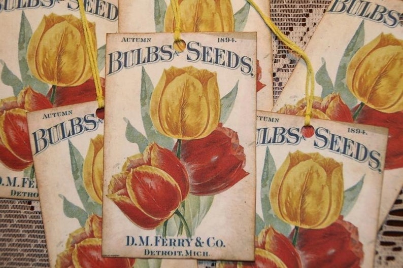 Vintage D.M. Ferry and Co 1894 Bulbs and Seeds Ad Gift Tags image 1