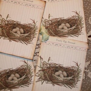 Vintage Yearly Egg Account Ledger Bird Nest Tags image 4