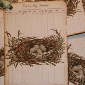 Vintage Yearly Egg Account Ledger Bird Nest Tags image 2