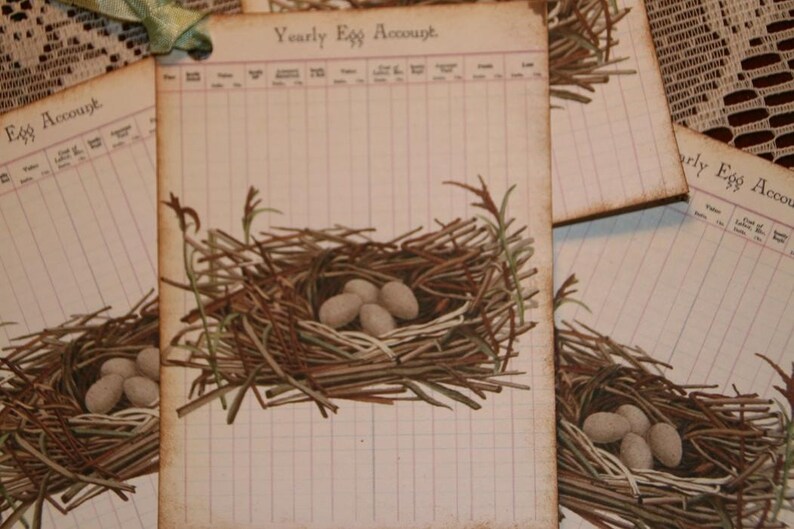 Vintage Yearly Egg Account Ledger Bird Nest Tags image 2