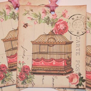 Pink Birdcage Roses Paris Postcard Gift Tags