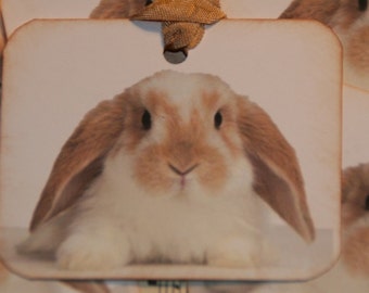 Brown and White Bunny Tags