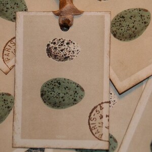 Speckled Bird Eggs Gift Tags
