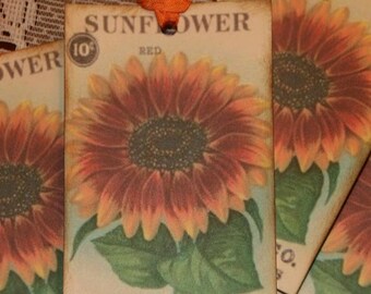 Sunflower Seed Packet Tags