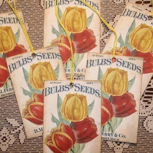 Vintage D.M. Ferry and Co 1894 Bulbs and Seeds Ad Gift Tags image 2
