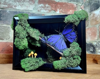 Caja de sombras de musgo encantado con mariposa morada