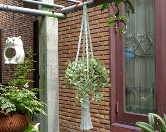 White Plant Hanger 'Basket 1'