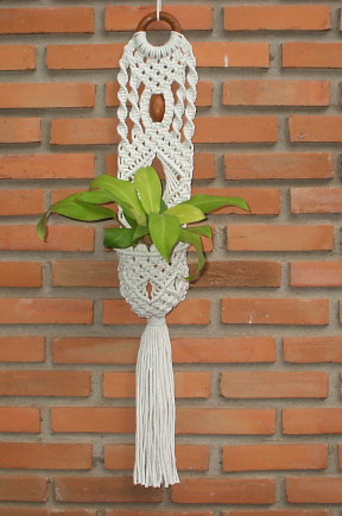 Small Wall Plant Holder 'spiral' Etsy