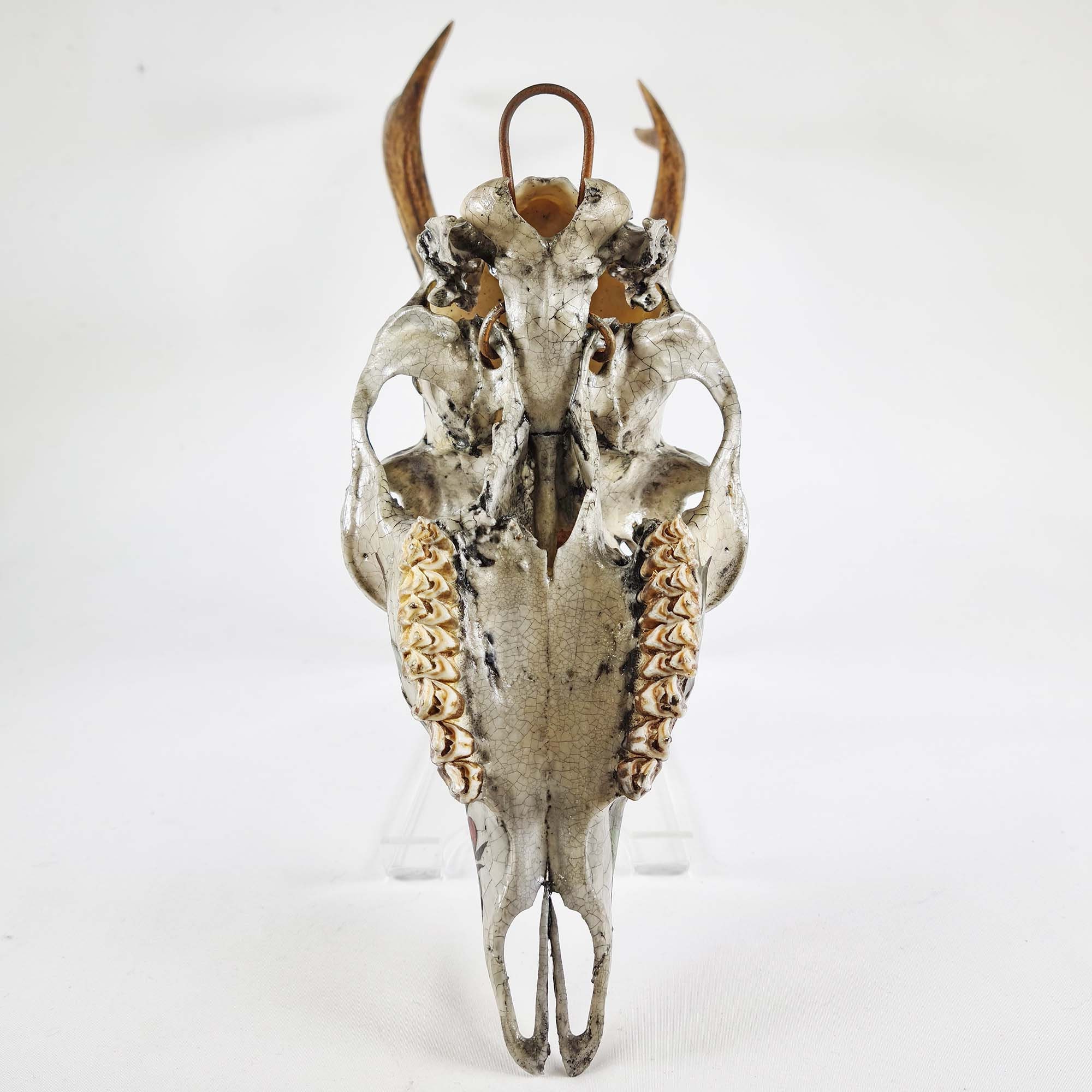 Handcrafted Decoupage Roe Deer Skull with Pomegranates Etsy