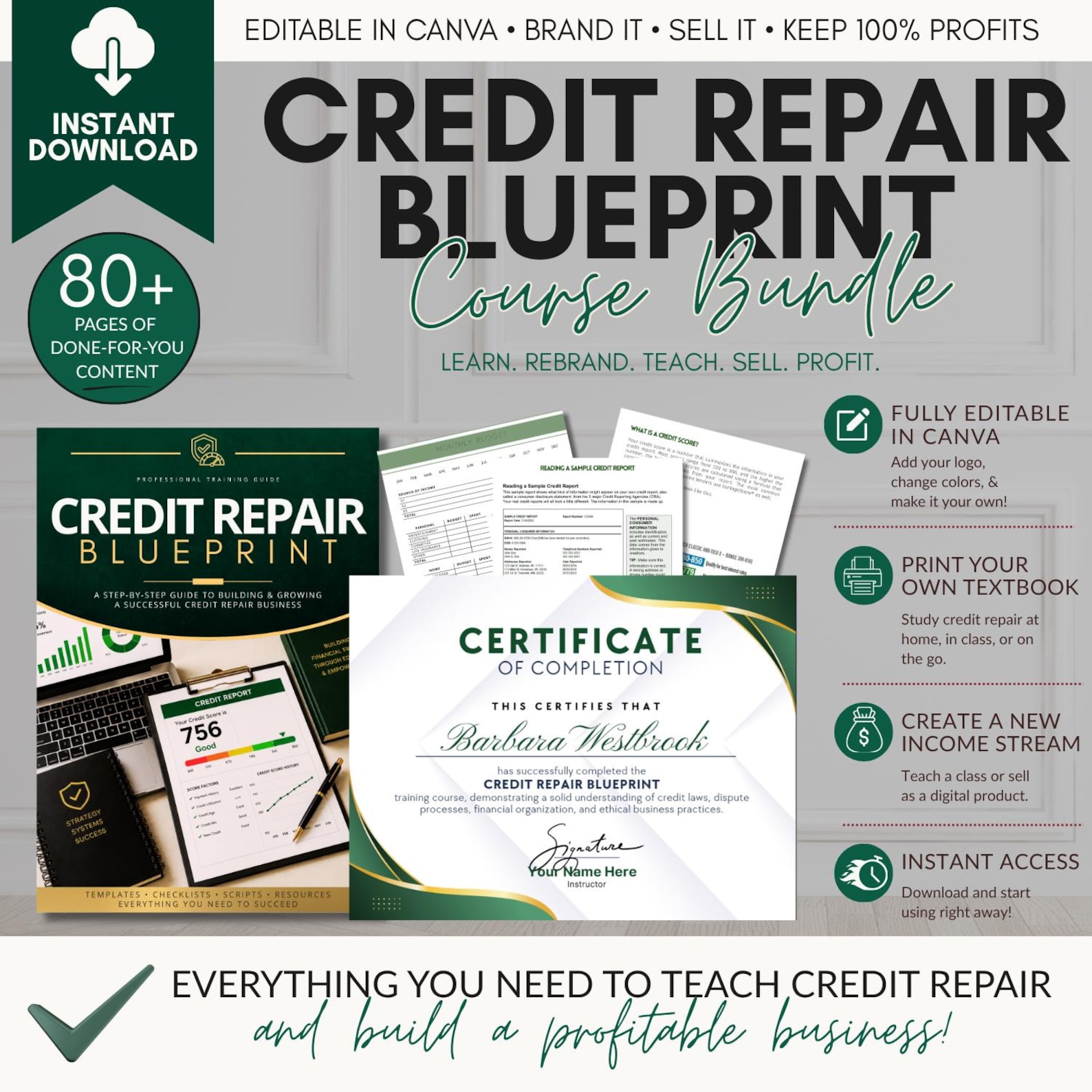 Credit Repair Course Kit | 80+ Page Editable Textbook | Canva Template ...