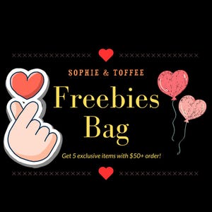 S & T 5 Exklusive Artikel Goodie Bag | Original Silikonform | Design-Folie Exklusive Tasche | Design Bezels Exklusive Tasche | Sonderpreis